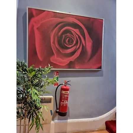 F304-Lovely 3Rd Flr Studio Fits 2 Near Hyde Park Londen Buitenkant foto